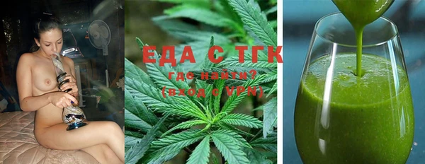 индика Надым