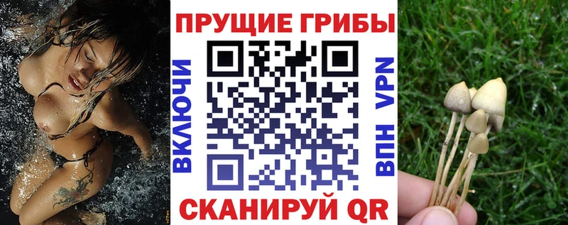 где найти наркотики  Усинск  Псилоцибиновые грибы Psilocybe 
