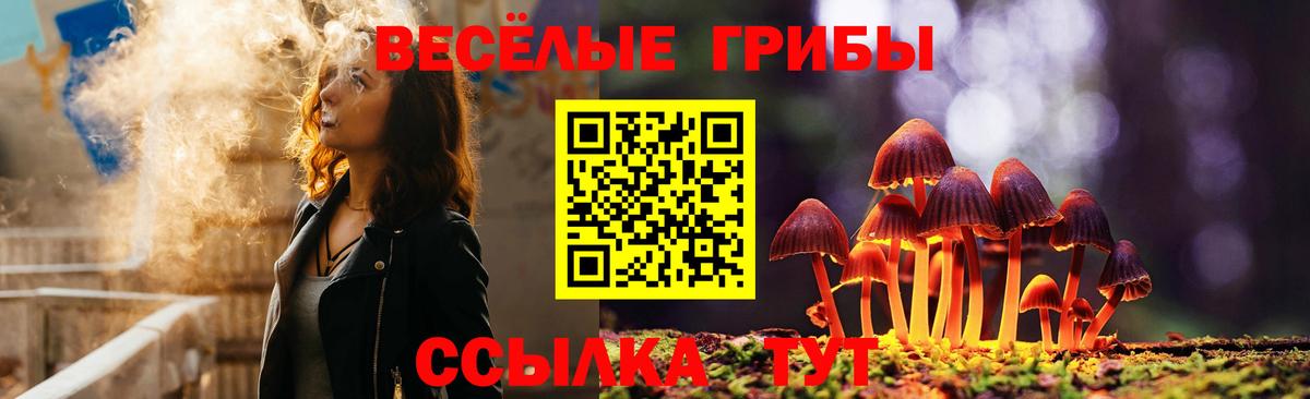 Псилоцибиновые грибы Cubensis Усинск